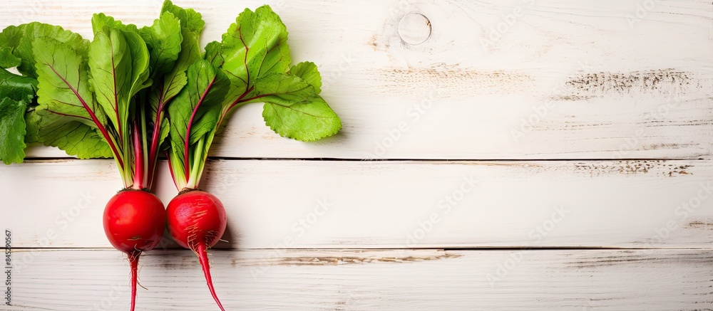 Poster A single vibrant red radish with its fresh green leaves set against a white wooden background A vegetable themed backdrop perfect for displaying text Top view. Creative banner. Copyspace image