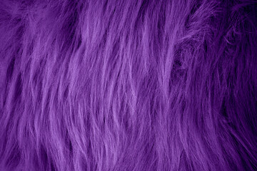 purple velour plush cloth textured background