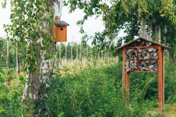 Birdhouse on a birch tree against the backdrop of an orchard
