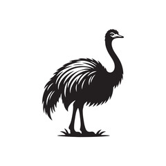 Ostrich Silhouette: Vector Graphics Depicting the Speed and Power of These Flightless Birds- Ostrich Vector - Ostrich Illustration.