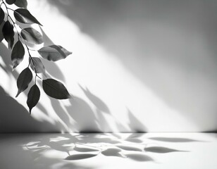 白い壁に影を落とす観葉植物