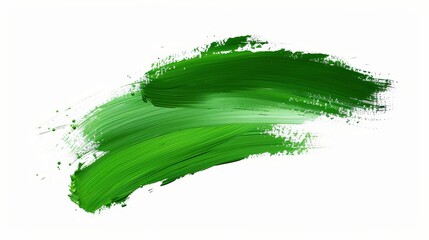 A green brush stroke on a white background