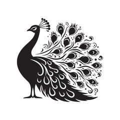 Fototapeta premium Bold Peacock Silhouette: Vector Art Celebrating the Beauty and Grandeur of Nature's Treasures - Peacock Illustration - Peacock Vector.
