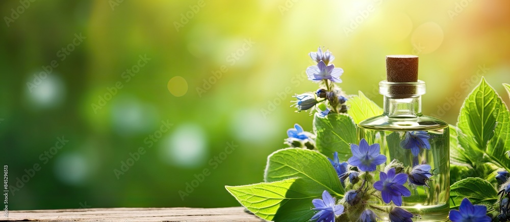 Aufkleber A bottle with a pipette filled with borage oil and accompanied by borage flowers is displayed against a vibrant green backdrop creating a captivating copy space image