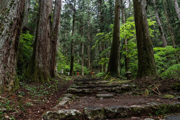 美しい歴史ある参道