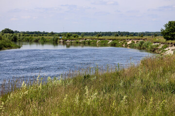 Flora, Fauna, and Landscapes of the Seym River Meadows, Ukraine

