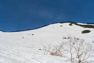 雪山を登る