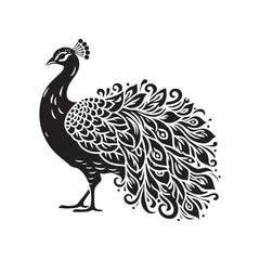 Peafowl Silhouette: Perfect for Nature-inspired Designs and Wildlife Enthusiasts - Peafowl Vector - Peafowl Illustration.