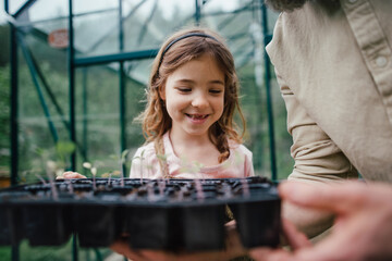 Fater and girl working together in garden, planting seedlings, spending time togeter, have shared...