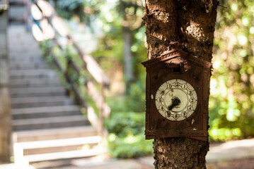 Zegar antyczny z kukułką na drzewie w tle schody w stylu vintage. 