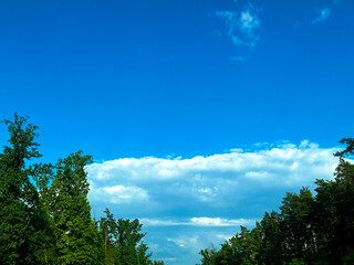 Sky, forest and clouds. An incredible view.