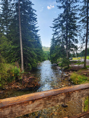 Górski strumyk w lesie w polskich górach © Anna