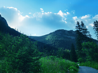 Górski krajobraz w polskich górach w tatrach © Anna