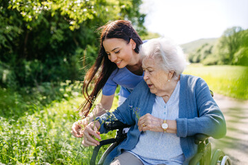 Female caregiver and senior woman in wheelchair picking wild flowers. Nurse and elderly woman...