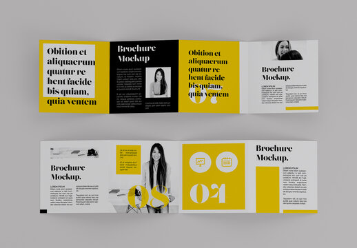 Accordion Folder Mockup