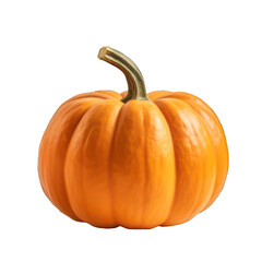 Obraz premium Pumpkin