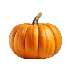 Obraz premium Pumpkin
