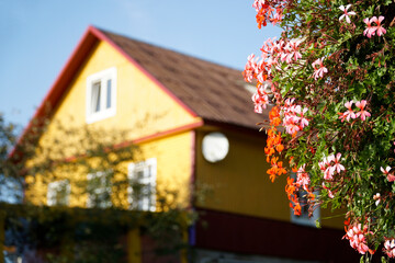 Flowers and traditional Karaim house - Trakai, Lithuania