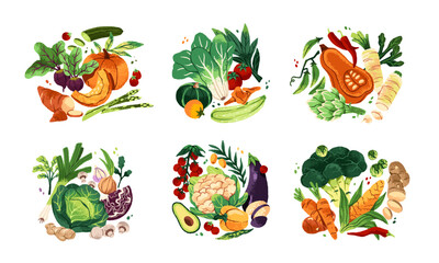 Compositions of different fresh vegetables set. Healthy natural food: pumpkin, cabbage, salad. Organic agriculture harvest, farm crop. Flat isolated hand drawn vector illustrations on white background