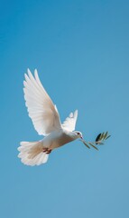 Obraz premium White dove flying with olive branch in beak