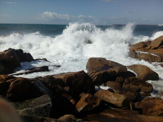 Wzburzony ocean w Portugalii wśród skał © Anna