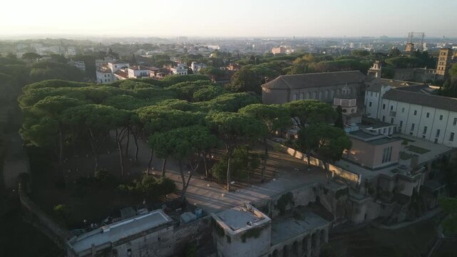 Aerial establishing shot at sunset above tree garden in Orange Garden Italy
