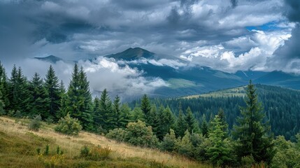 Clouds Over Hoverla in the Forests of the Carpathian Mountains