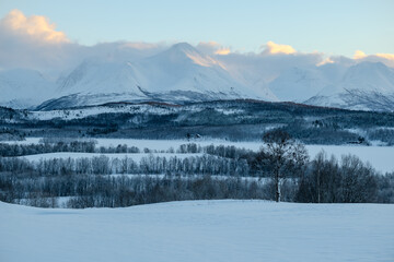 snow covered mountains