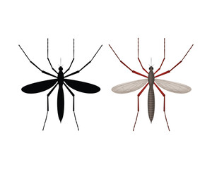 Mosquito. The silhouette of a mosquito. A blood-sucking insect. Mosquito top view. Vector illustration isolated on a white background