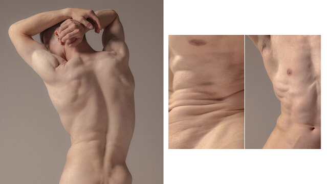 Artistry of human anatomy. Detailed muscle structure of back and torso, cropped images of shirtless male body parts. Attractive muscular form. Creative collage. Concept of body aesthetics, male beauty