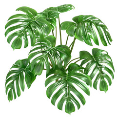 tree isolated on white background