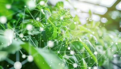 Enabled Greenhouse, Advancing Sustainable Agriculture