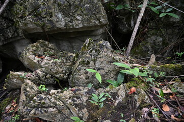 Bau, Malaysia - June 10 2024: The Paku Rock Maze Garden of Borneo Sarawak Malaysia