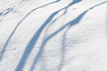 snow and shadow