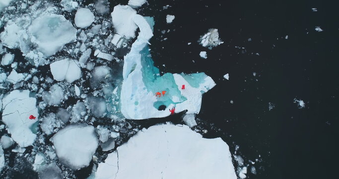 People swimming arctic ice ocean aerial view. Scientists explore global warming issue in Antarctica. Group of man in orange wetsuits take samples and measure melting glacier water, climate change