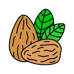 Almonds in doodle style. Vector isolated on yellow background