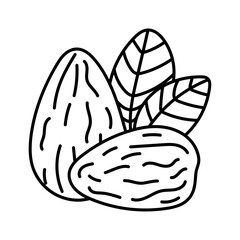 Almonds in doodle style. Vector isolated on yellow background