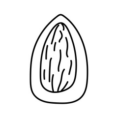 Almonds in doodle style. Vector isolated on yellow background