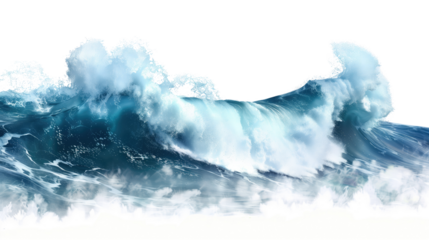 Sea wave on a transparent background