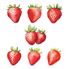 Strawberry Watercolor Vector