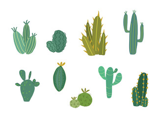 Flat design cactuses, cactus, mexican native flora. Isolated on white background. Beautiful set of vector green cactus groups. 