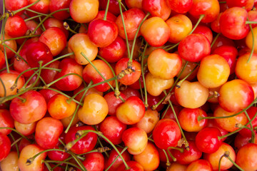 Cherries background pattern