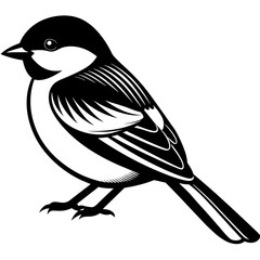 Chickadee bird silhouette black different style vector illustration line art
