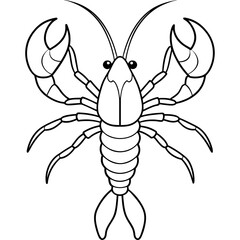 crayfish line art vector artwork illustration