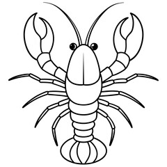 crayfish line art vector artwork illustration