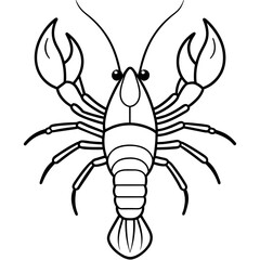 crayfish line art vector artwork illustration