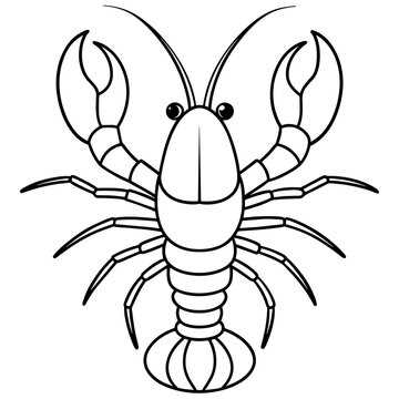 recommend clip art: crayfish line art vector artwork illustration