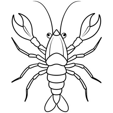 recommend clip art: crayfish line art vector artwork illustration
