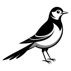 Wagtail bird different style vector illustration line art