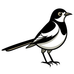Wagtail bird different style vector illustration line art